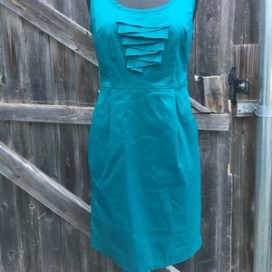 Ann Taylor Petite Dress